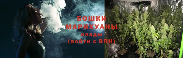 дживик Сосновый Бор