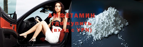 стаф Алексин
