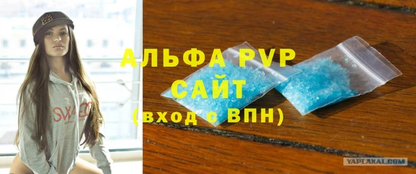 стаф Алексин