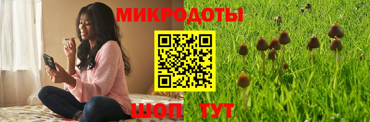где найти   Псилоцибиновые грибы Magic Shrooms  Кириши  Вход с VPN  Галлюциногенные грибы мицелий 