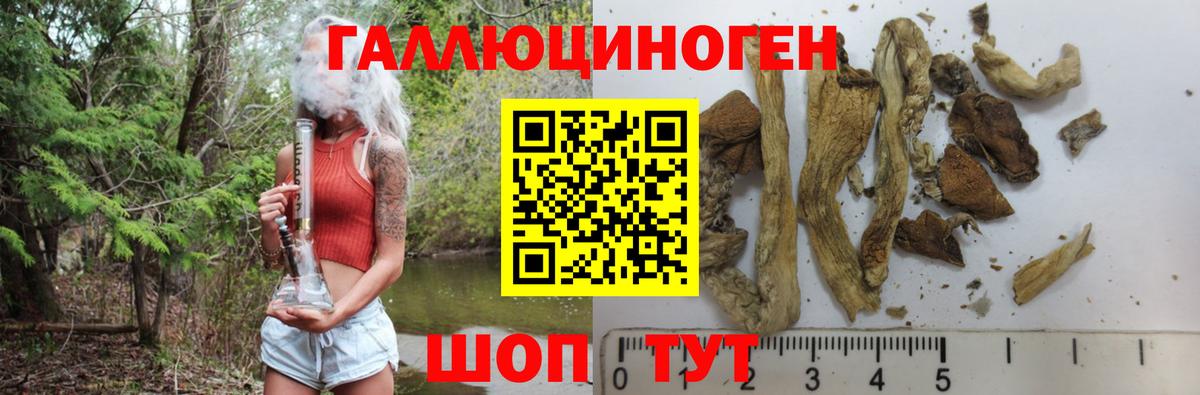 Галлюциногенные грибы мухоморы Кириши