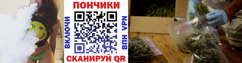Конопля SATIVA & INDICA  ссылка на мегу маркетплейс  Кириши 